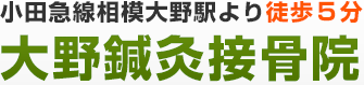 小田急線相模大野駅より徒歩5分 大野鍼灸接骨院