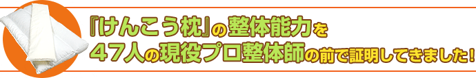 『けんこう枕』の整体能力を47人の現役プロ整体師の前で証明してきました!