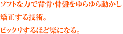 �\�t�g�ȗ͂Ŕw���E���Ղ�����瓮������������Z�p�B
               �r�b�N������قǊy�ɂȂ�