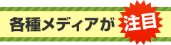 �e�탁�f�B�A������